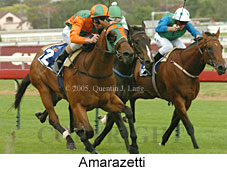 Amarazetti (14772 bytes)