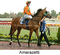 Amarazetti (14772 bytes)