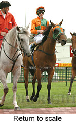 Return to scale (14008 bytes)