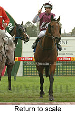 Return to scale (14008 bytes)