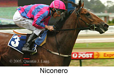 Niconero (14772 bytes)