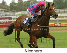 Niconero (14772 bytes)