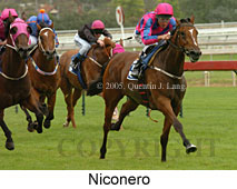 Niconero (14772 bytes)