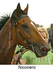 Niconero (14772 bytes)