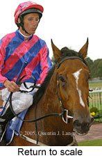 Return to scale (14008 bytes)