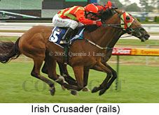 Irish Crusader (14772 bytes)