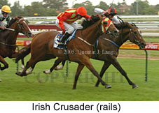 Irish Crusader (14772 bytes)