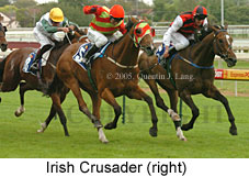 Irish Crusader (14772 bytes)