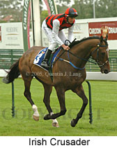 Irish Crusader (14772 bytes)