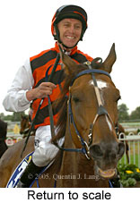 Return to scale (14008 bytes)