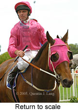 Return to scale (14008 bytes)