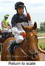 Return to scale (14008 bytes)