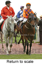 Return to scale (14008 bytes)