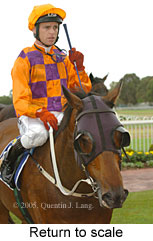 Return to scale (14008 bytes)