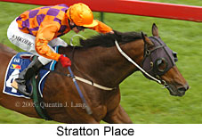 Stratton Place (14772 bytes)