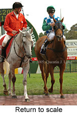 Return to scale (14008 bytes)