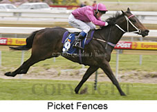 Picket Fences (14353 bytes)