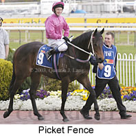 Picket Fences (18316 bytes)