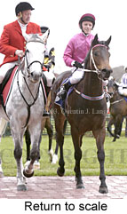 Return to scale (14916 bytes)