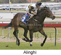 Alinghi (13460 bytes)