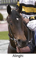 Alinghi (11100 bytes)