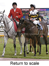 Return to scale (14979 bytes)