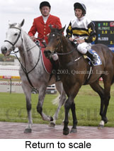 Return to scale (13285 bytes)