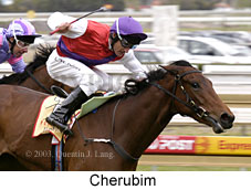 Cherubim (15868 bytes)