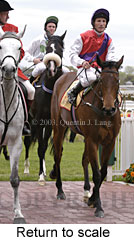 Return to scale (14581 bytes)