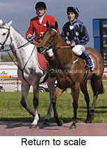 Return to scale (15172 bytes)