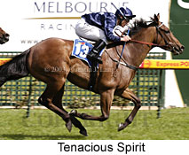 Tenacious Spirit (17936 bytes)