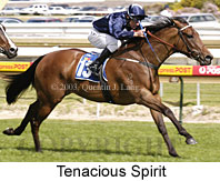 Tenacious Spirit (16114 bytes)