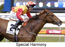 Special Harmony (16695 bytes)