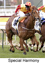 Special Harmony (13385 bytes)