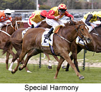 Special Harmony (17548 bytes)