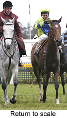 Return to scale (16061 bytes)