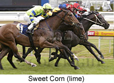 Sweet Corn (17087 bytes)