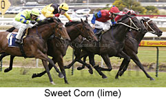 Sweet Corn (16972 bytes)