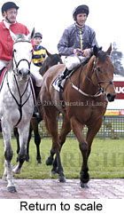 Return to scale (15218 bytes)