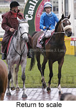 Return to scale (16257 bytes)