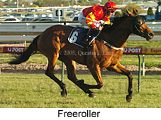 Freeroller (16193 bytes)