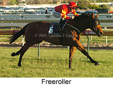 Freeroller (16193 bytes)