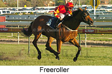 Freeroller (16193 bytes)