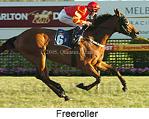 Freeroller (16193 bytes)