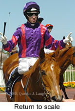 Return to scale (16492 bytes)