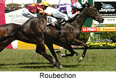 Roubechon (16193 bytes)