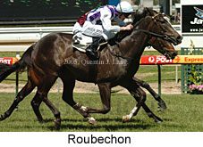 Roubechon (16193 bytes)