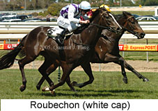 Roubechon (16193 bytes)