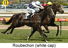 Roubechon (16193 bytes)