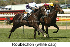 Roubechon (16193 bytes)